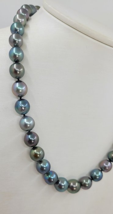 Image 2 of no reserve -Pearl Science Lab certified - 8.0x10.9mm Multi Tahitian Pearls - 14 kt. White gold - Ne