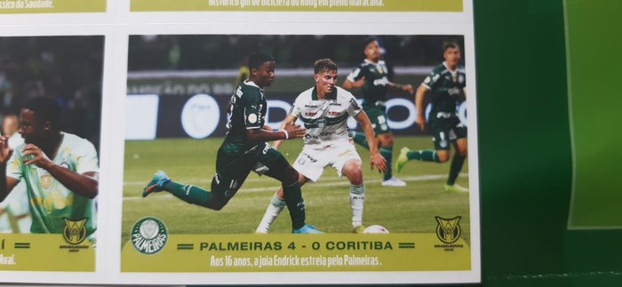 Panini lança álbum com figurinhas e pôster do Palmeiras Campeão Brasileiro  2022 - Dá-Lhe Palestra