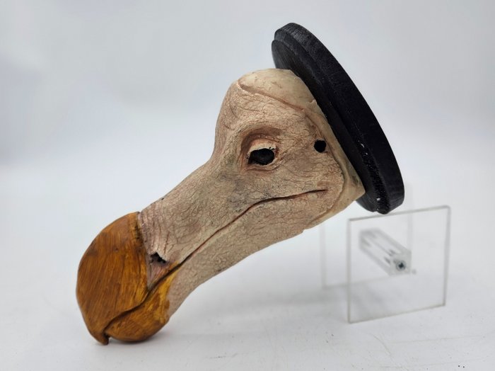 Réplica de dodo Cráneo - Raphus cucullatus - 0 cm - 0 cm - 22 cm- non-CITES species