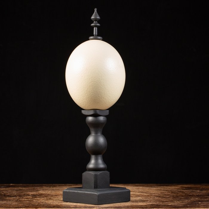 Wunderkammer Design - Egg - Ostrich Egg - Strutio Camelus - Wood Gothic Base - 394 mm - 120 mm - 120 mm