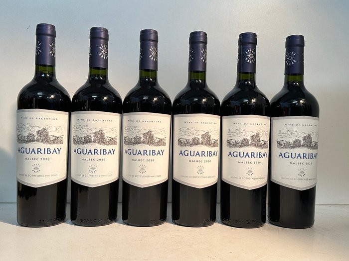 2020 Aguaribay Malbec Edmond de Rothschild - Uco Valley - 6 Bottles (0.75L)