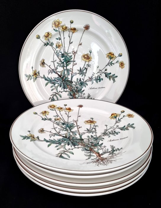 Villeroy & Boch - 成套餐具 - Botanica 6 x 餐盤約 27 厘米 - 瓷器