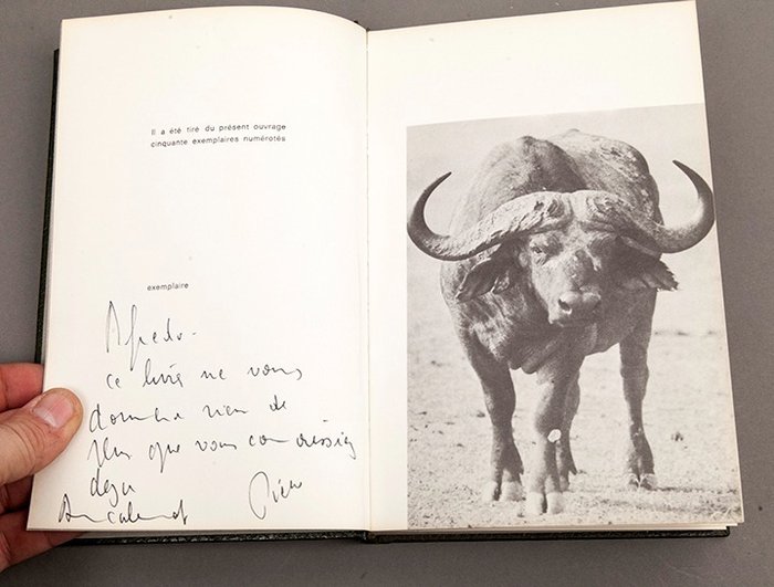 Pierre Fiorenza - Il faut savoir...(signed by author) - 1969