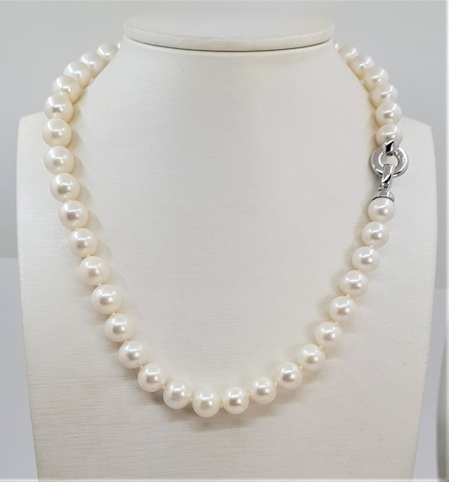 Sin Precio de Reserva - Collar Edison blanco redondo de 10x11 mm - 925 perlas de agua dulce, Plata