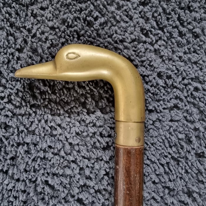 Walking stick - wood / brass - Duck Head - Early 20th century (1