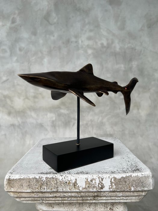 雕塑, NO RESERVE PRICE - Bronze Polished Great White Shark - Carcharodon Carcharias - 20 cm - 黄铜色