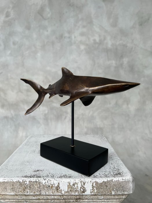 Skulptur, Bronze Polished Great White Shark - Carcharodon carcharias - Bronze - 20 cm - Bronze