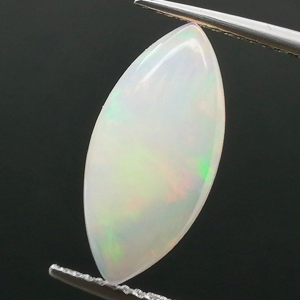 Opal nobil - 2.54 ct