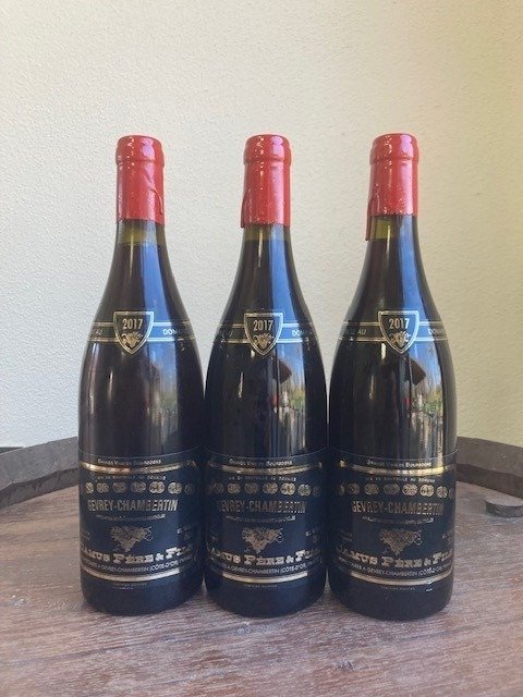2017 Gevrey-Chambertin - Domaine Camus - Bourgogne - 3 Bottles (0.75L)