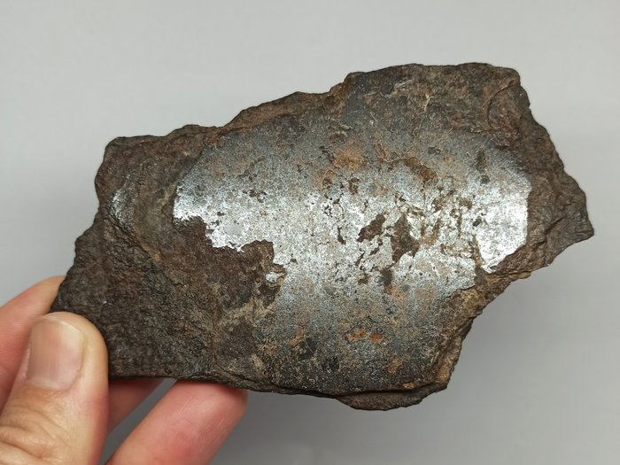 MDEÏNÉ 001 (neue Klassifizierung). MESOSIDERIT-Meteorit. Endschnitt. XL, MUSEUM.- 149.8 g