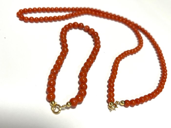 18 kt Gelbgold - Armband, Halskette Koralle - Sardisches Rot
