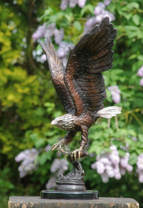 Statue, hunting eagle - 55 cm - bronse marmor