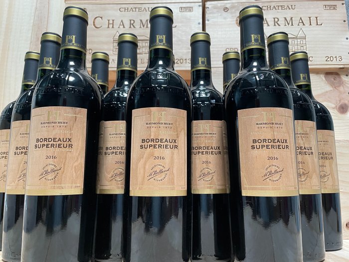 2016 Raymond Huet Michel Rolland Bordeaux Superieur - Bordeaux - 12 Flasker (0,75 L)