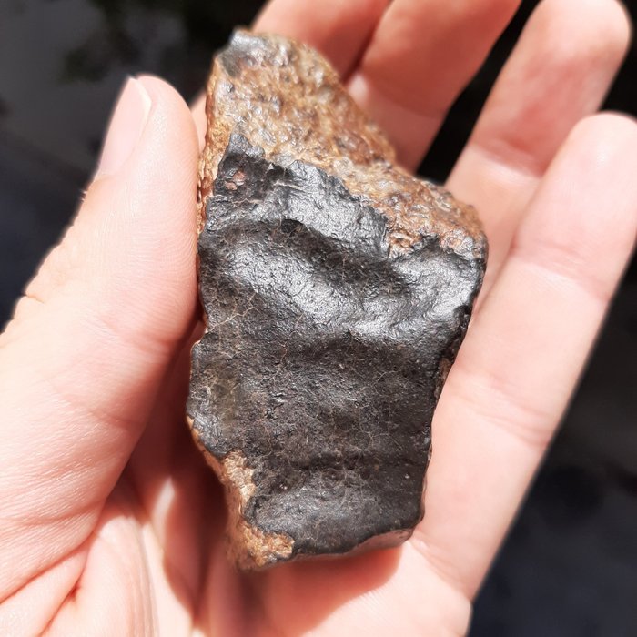 閃長石隕石。來自小行星灶神星 - 167 g
