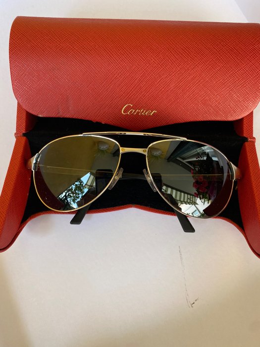 Cartier - Sunglasses - Catawiki