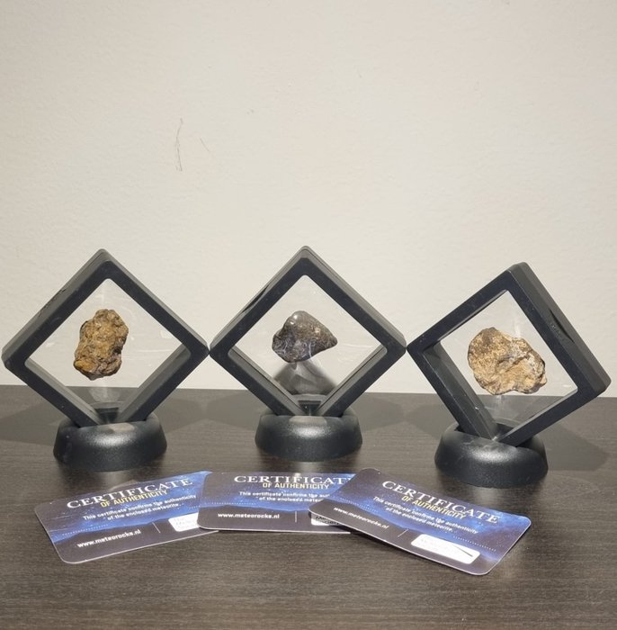 Collection de météorites avec 3 météorites dans de belles expositions - 56.37 g - (3)