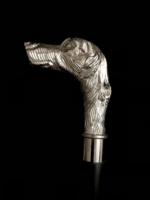 手杖 - 狩猎用的“爱尔兰塞特犬”手杖。手柄设计为爱尔兰塞特犬的狗头。在 - 镀银黄铜和黑木手杖