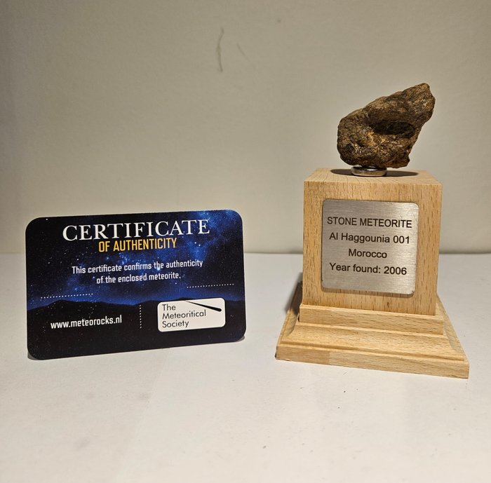 Al Haggounia 001 meteorit - Chrondite meteorit - På stativ - - 34.97 g - (1)