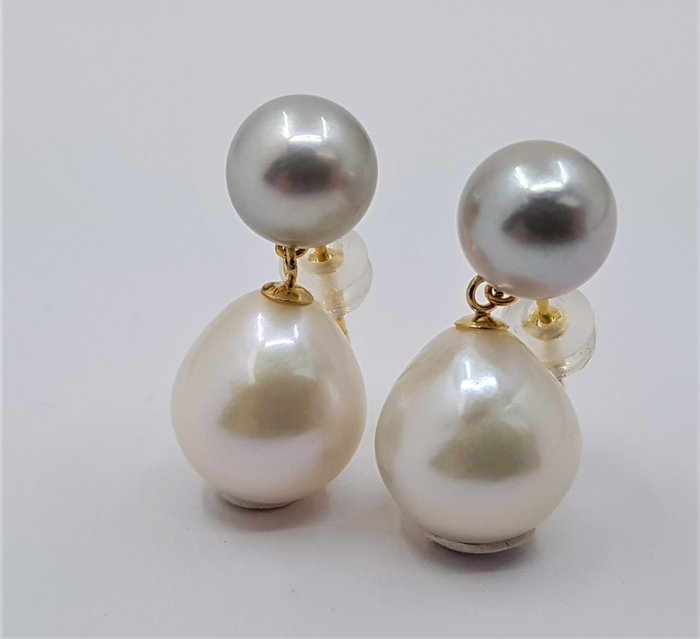 Ohne Mindestpreis - 8.5x11.5mm Silvery Akoya and White Edison Pearls Ohrringe - Gelbgold 