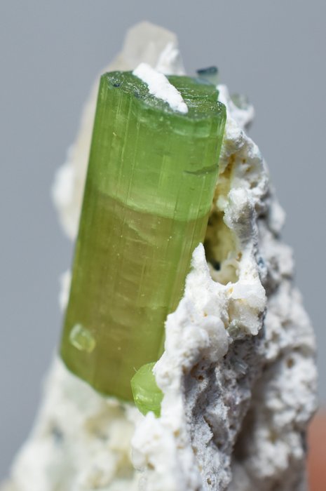 Turmalin Kristalle auf Muttergestein - Höhe: 81 mm - Breite: 56 mm- 77 g - (1)
