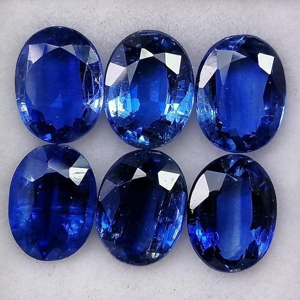 6 pcs  藍晶石 - 9.98 ct