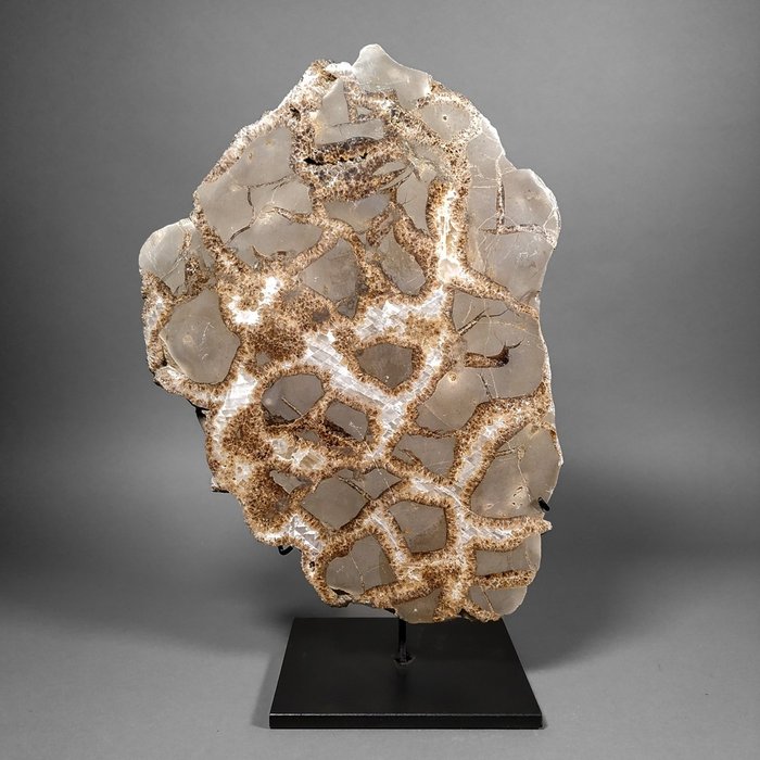 Grote septaria Gesegmenteerde knobbel - Hoogte: 35 cm - Breedte: 26 cm- 6725 g