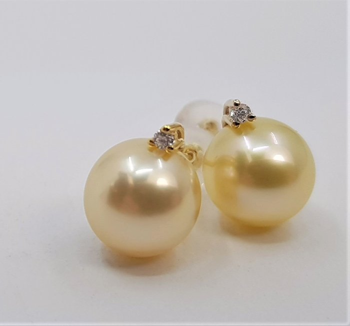 9mm Golden South Sea Pearls - 0.04Ct - 耳環 黃金 
