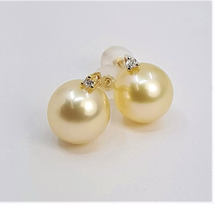 no reserve - 9mm Golden South Sea Pearls - 0.04 ct	 - 14 kt. Gold - Earrings