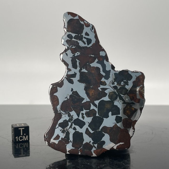 Grote XXL SEYMCHAN Meteoriet gepolijst HOGE KWALITEIT - 23.5 g