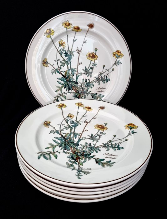 Villeroy & Boch - Serviciu de masă - Prima alegere Botanica 6 x farfurii cca 24cm - Porțelan