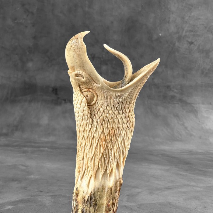 Una testa d'aquila scolpita da un corno di cervo su un supporto - Legno, Corno  di cervo - Catawiki