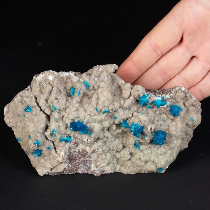 Minéral presque éteint - Cavansite sur Stilbite - Formations rares de bleu profond - Spécimen de - Hauteur : 152 mm - Largeur : 86 mm- 502 g