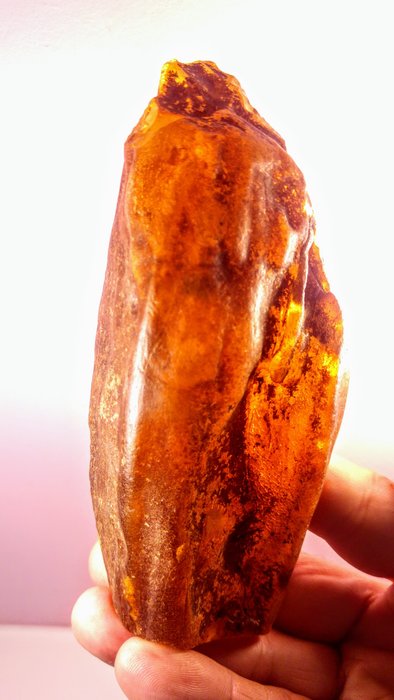 Ambra - Grande pietra di ambra baltica grezza - 14×5×4 cm - 189 g - Catawiki