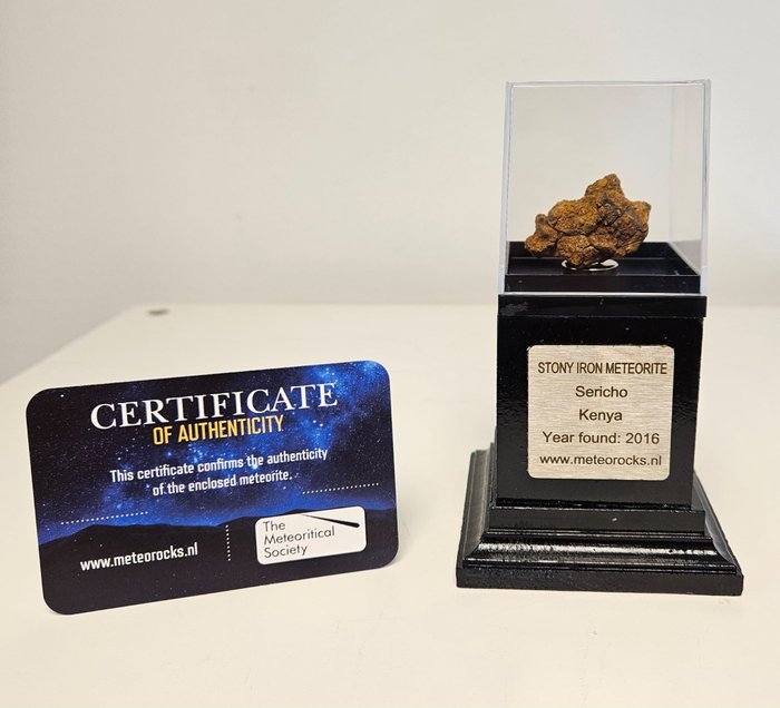 Serichon meteoriittipallasiitti näytössä - pallasiitti - 19.17 g - (1)