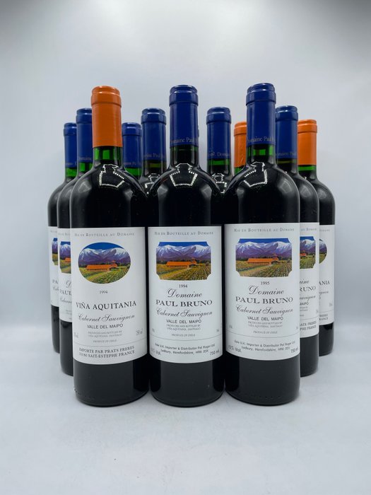 1993 x 2, 1994 x 2, 1995 x 2, 1996 x 2 Domaine Paul Bruno & 1994 x 2 Vinã Aquitania - Valle del Maipo - 12 Bottiglie (0,75 L)