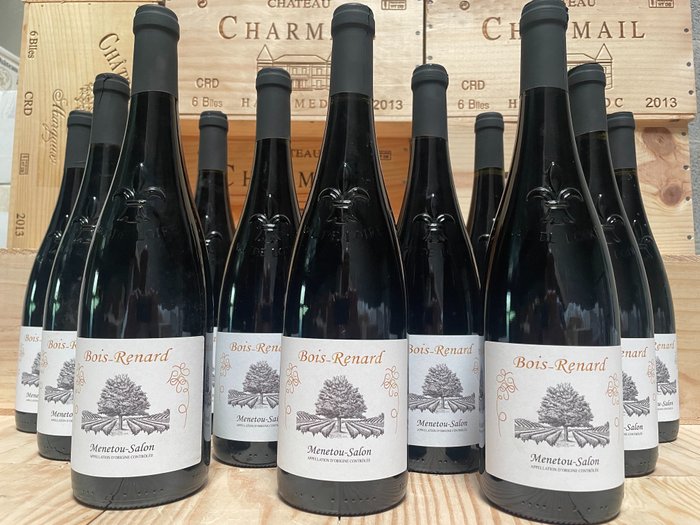 2019 Domaine Marquis de Granville cuvée Bois-Renard - 蒙內都沙隆 - 12 Bottle (0.75L)