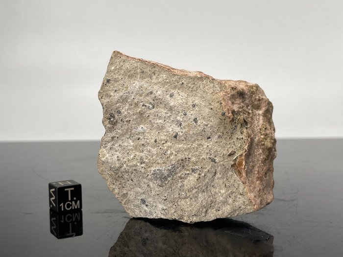 HOWARDITE的分類 灶神星 (VESTA) 隕石 小行星。 - 157 g