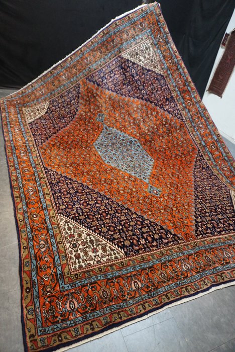 比賈爾 伊朗 - 地毯 - 345 cm - 255 cm