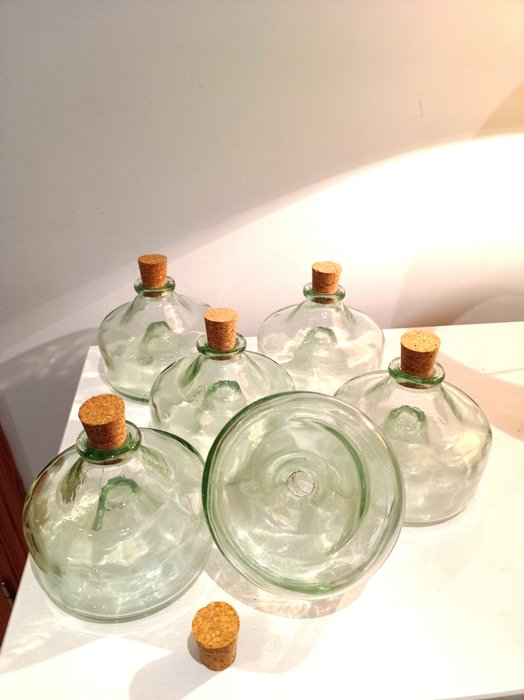 瓶 (6) - 捕蠅草、蚊子 - 玻璃