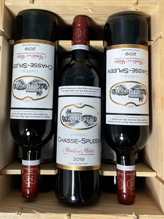 2019 Chateau Chasse-Spleen - Moulis en Medoc - 6 Bottiglie (0,75 L)