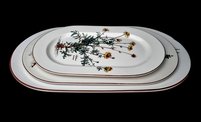 Villeroy & Boch - 成套餐具 (3) - 第一選擇！ Botanica 3 x 盤子套裝 - 瓷器