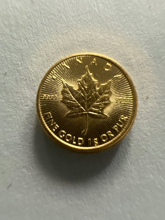 加拿大. 50 Cent 2023 Maple Leaf, 1g (.999)  (沒有保留價)