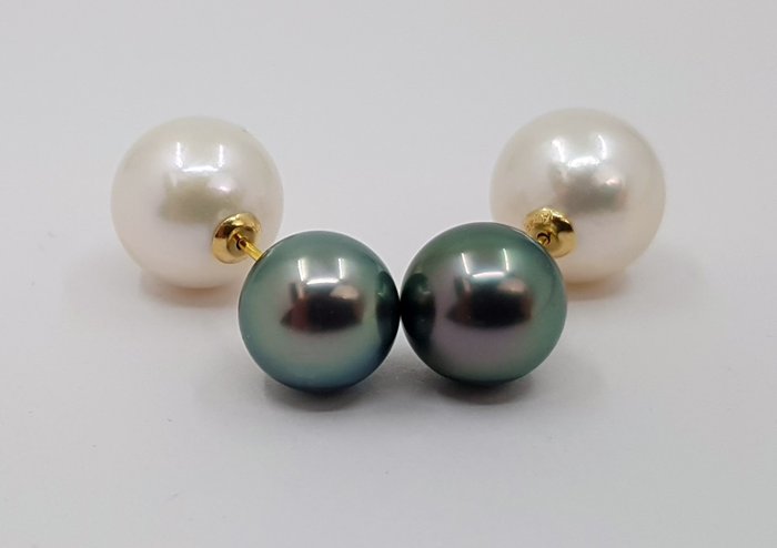 8.5x11.5mm Edison and Tahitian Pearls - Drop fülbevaló Sárga arany 
