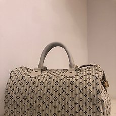 Louis Vuitton - Berkeley - Evening bag - Catawiki