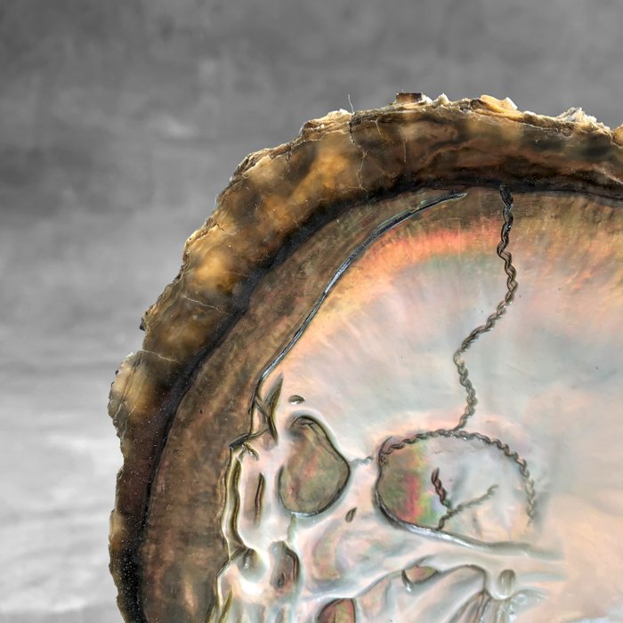 Mooie handgesneden parelmoer schelp – menselijke schedel snijwerk – Parelmoer