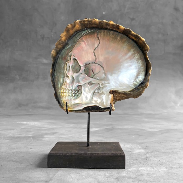 Mooie handgesneden parelmoer schelp – menselijke schedel snijwerk – Parelmoer