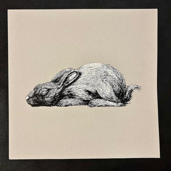 ROA - Year of the Rabbit: Time to Exit (Hand-Screenprinted LP Cover & Slipcase with White/Clear Vinyl)