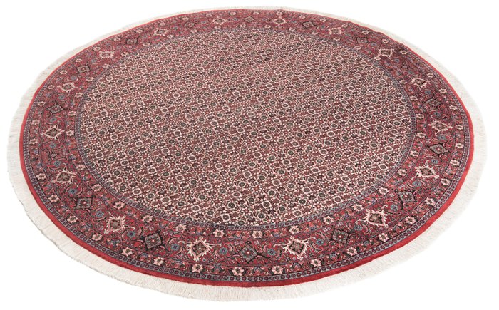 Bidjar - 小地毯 - 250 cm - 250 cm