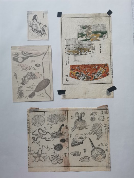 Illustrazioni originali in xilografia (4) - Carta - Giappone - XVIII - XIX secolo
