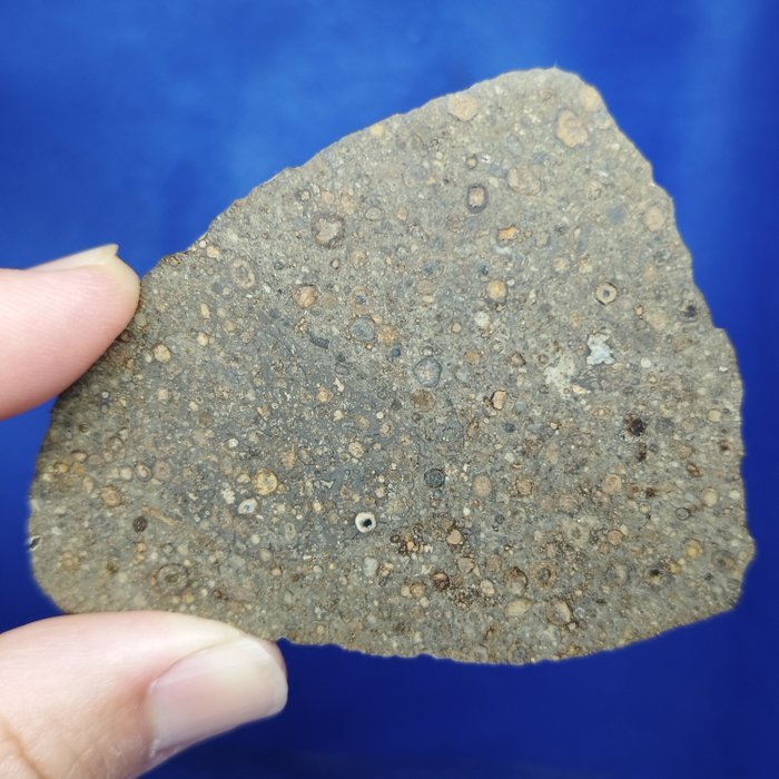 METEORITE SLICE CV3 -Condrite carbonacea- NWA 14793. Con fantastici CHONDRULES e CAI. SENZA PREZZO DI RISERVA. - 7.9×5.8×0.2 cm - 18.4 g